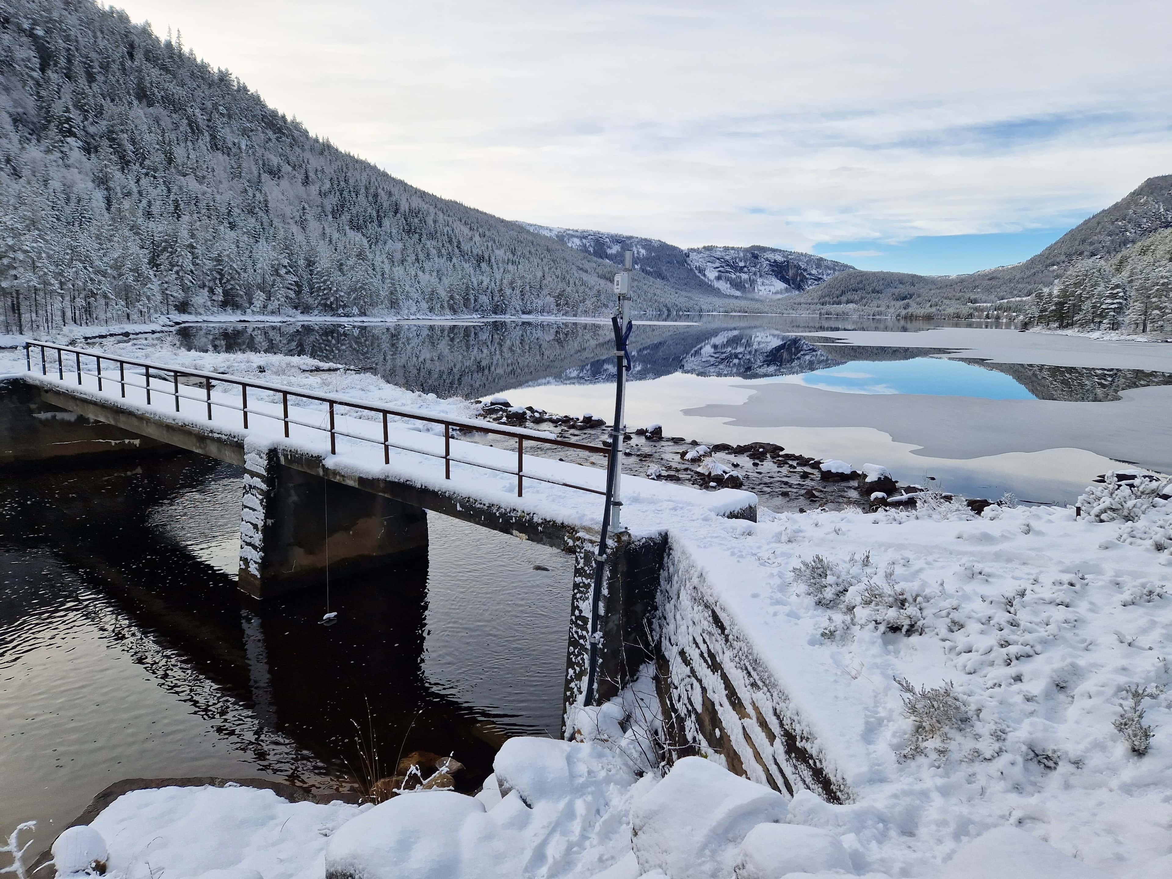 Hero image for Små kraftselskaper